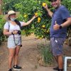 TOUR PICA Y SALITRERAS (FULL DAY) - Imagen 33