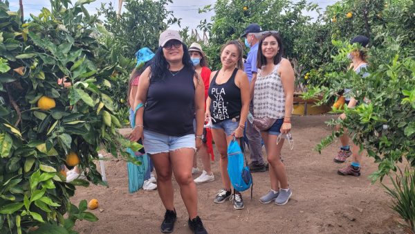 TOUR PICA Y SALITRERAS (FULL DAY) - Imagen 32