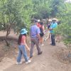 TOUR PICA Y SALITRERAS (FULL DAY) - Imagen 31