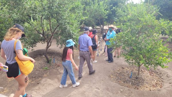 TOUR PICA Y SALITRERAS (FULL DAY) - Imagen 31