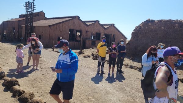TOUR PICA Y SALITRERAS (FULL DAY) - Imagen 11