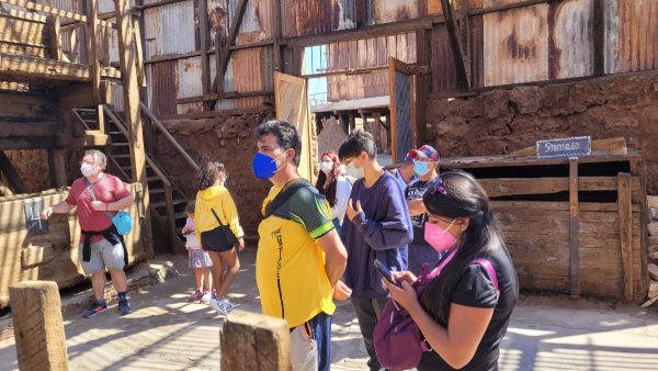 TOUR PICA Y SALITRERAS (FULL DAY) - Imagen 8