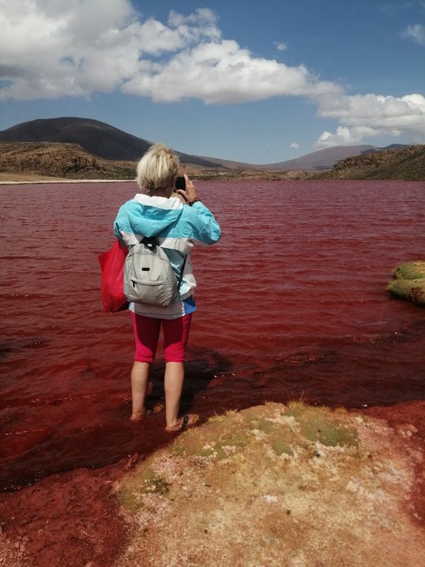 TOUR LAGUNA ROJA (FULL DAY) - Imagen 12