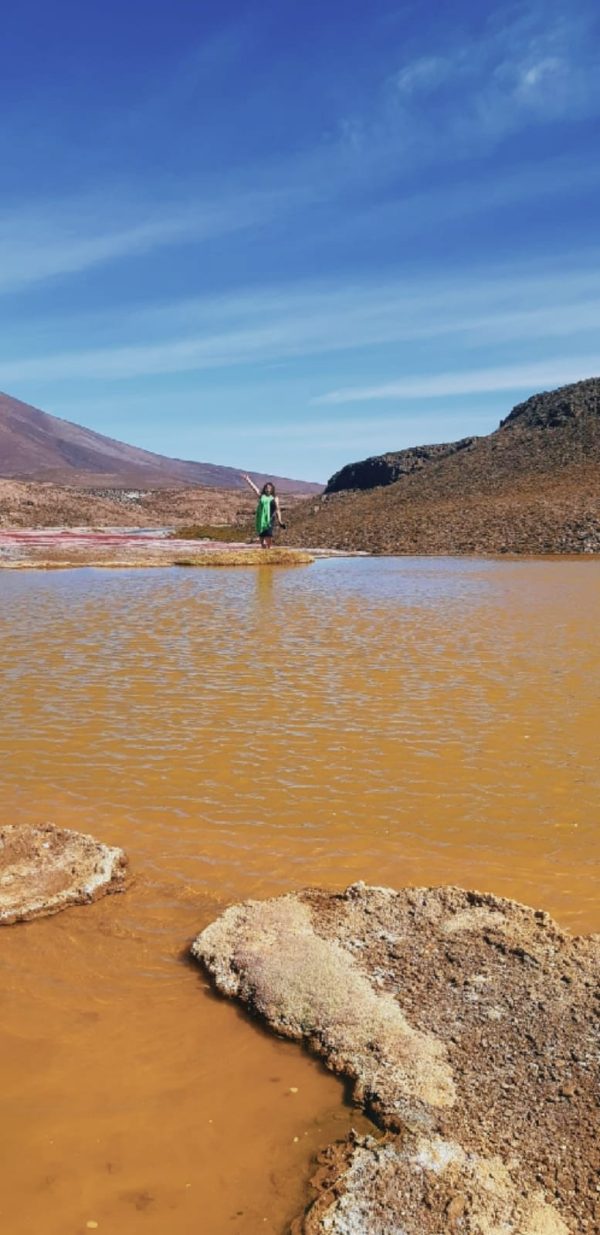 TOUR LAGUNA ROJA 2 DÍAS Y 1 NOCHE - Imagen 10