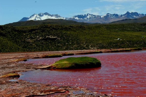 TOUR LAGUNA ROJA 2 DÍAS Y 1 NOCHE - Imagen 2