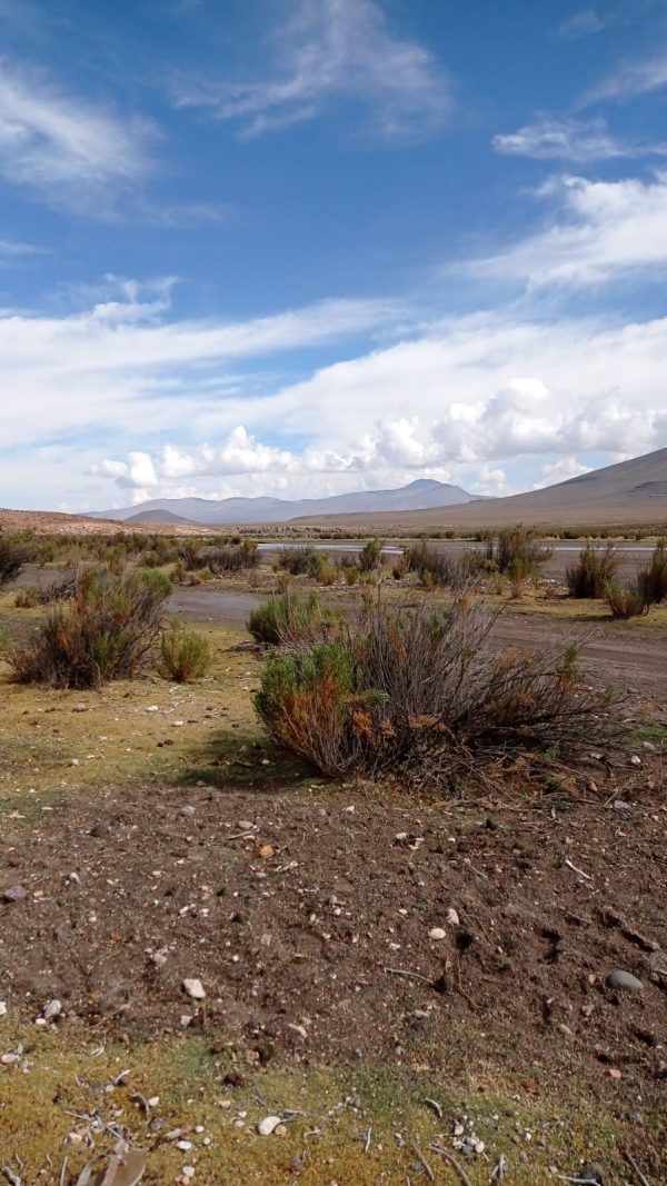 TOUR LAGUNA ROJA 2 DÍAS Y 1 NOCHE - Imagen 17