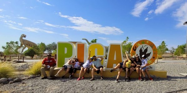 TOUR PICA Y SALITRERAS (FULL DAY) - Imagen 30