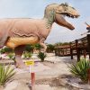 TOUR PICA Y SALITRERAS (FULL DAY) - Imagen 27
