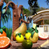 TOUR PICA Y SALITRERAS (FULL DAY) - Imagen 21