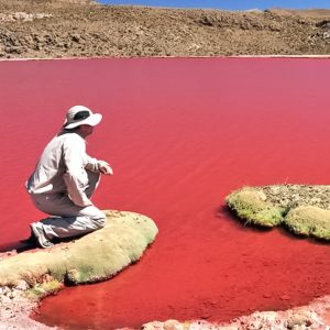 TOUR LAGUNA ROJA (FULL DAY)