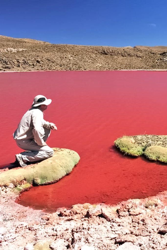 TOUR LAGUNA ROJA (FULL DAY)