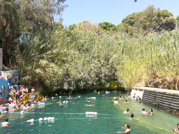TOUR PICA Y SALITRERAS (FULL DAY) - Imagen 24