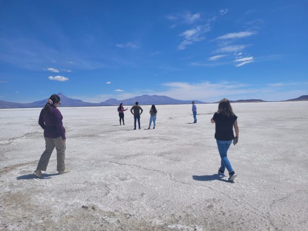 TOUR ALTIPLANO (FULL DAY) - Imagen 11