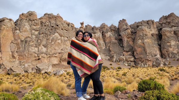 TOUR ALTIPLANO (FULL DAY) - Imagen 13