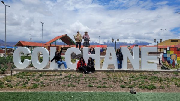 TOUR ALTIPLANO (FULL DAY) - Imagen 15