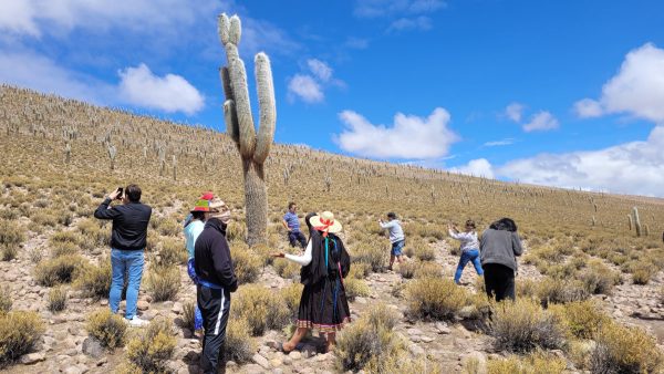 TOUR ALTIPLANO (FULL DAY) - Imagen 21