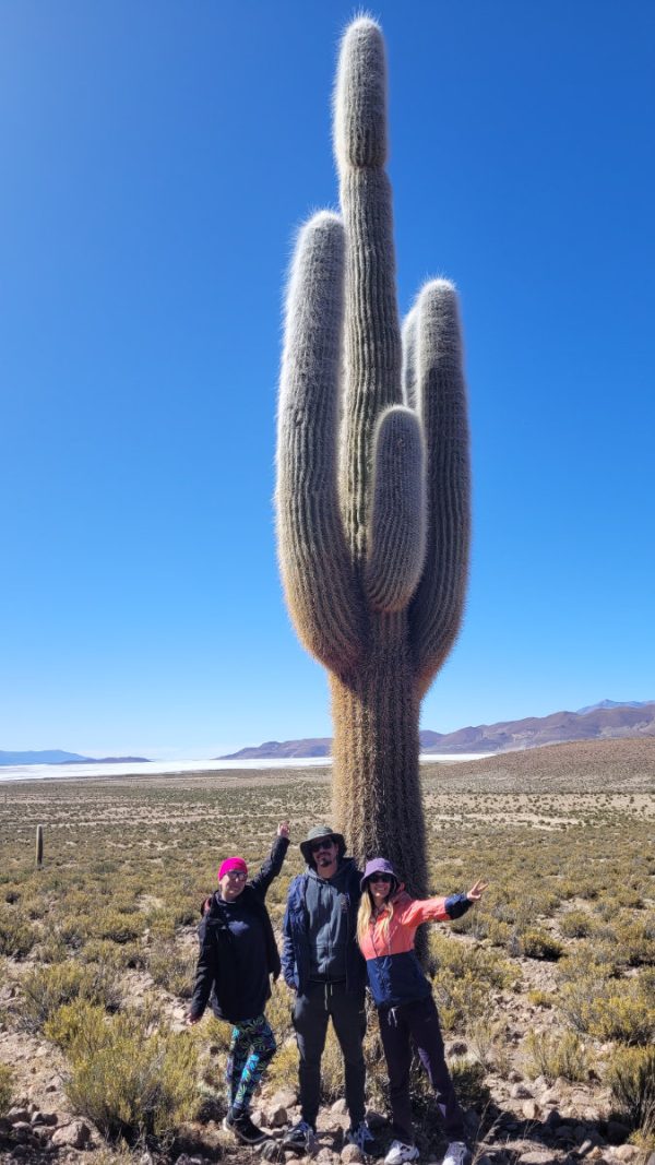 TOUR ALTIPLANO (FULL DAY) - Imagen 28