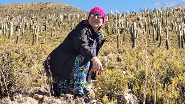 TOUR ALTIPLANO (FULL DAY) - Imagen 22
