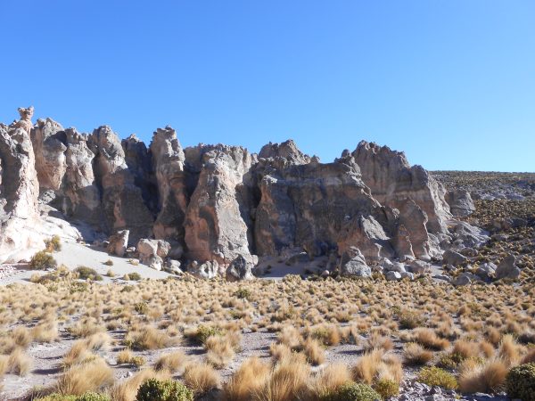 TOUR ALTIPLANO (FULL DAY) - Imagen 20