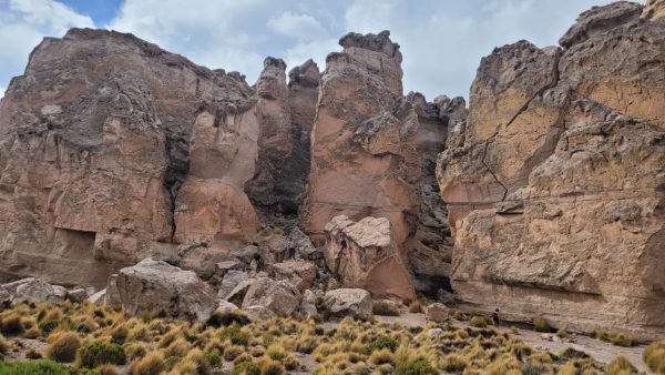 TOUR ALTIPLANO (FULL DAY) - Imagen 19