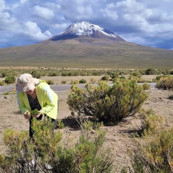 TOUR ALTIPLANO (FULL DAY) - Imagen 36