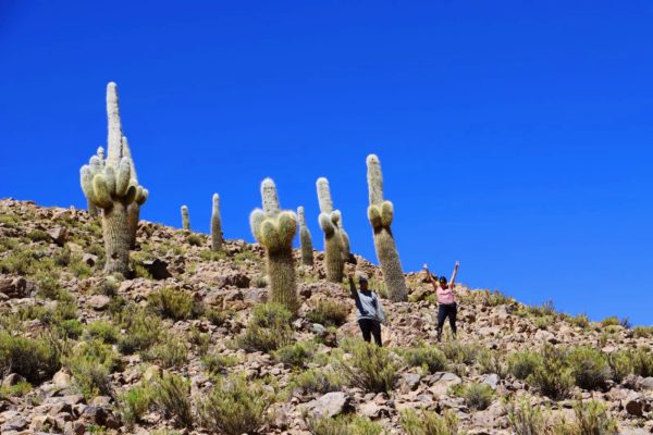 TOUR ALTIPLANO (FULL DAY) - Imagen 30