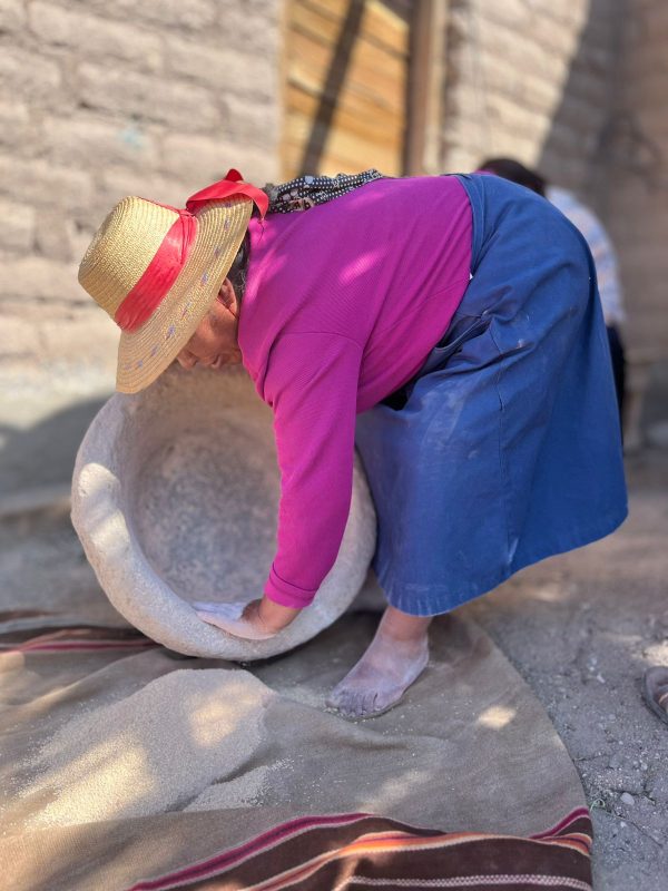 TOUR ALTIPLANO (FULL DAY) - Imagen 39