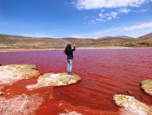 TOUR LAGUNA ROJA (FULL DAY) - Imagen 6