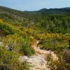 TOUR TERMAS DE MAMIÑA (FULL DAY) - Imagen 18