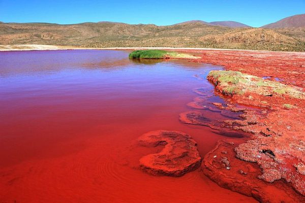 TOUR LAGUNA ROJA (FULL DAY) - Imagen 9