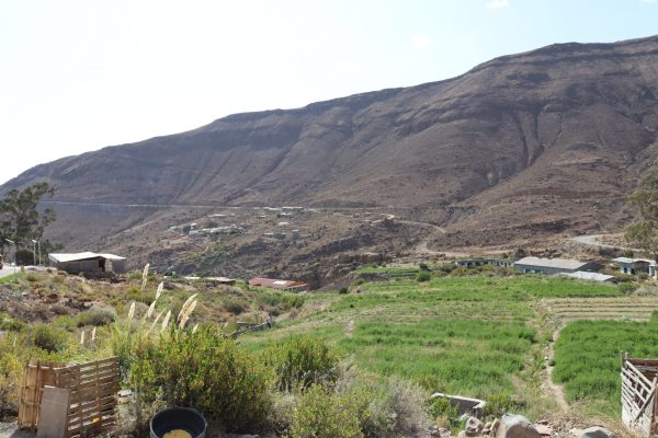TOUR HUASQUIÑA Y CHUZMIZA: RUTA 1 (FULL DAY) - Imagen 10