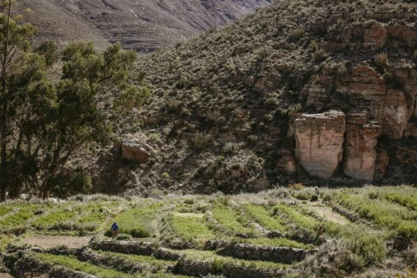 TOUR HUASQUIÑA Y CHUZMIZA: RUTA 1 (FULL DAY) - Imagen 15