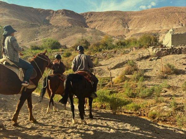 TOUR HUASQUIÑA Y CHUZMIZA: RUTA 1 (FULL DAY) - Imagen 17