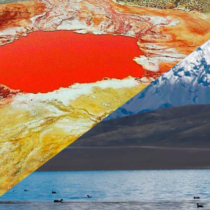 RUTA ALTIPLÁNICA: 3 DÍAS Y 2 NOCHES (Colchane-Camiña)