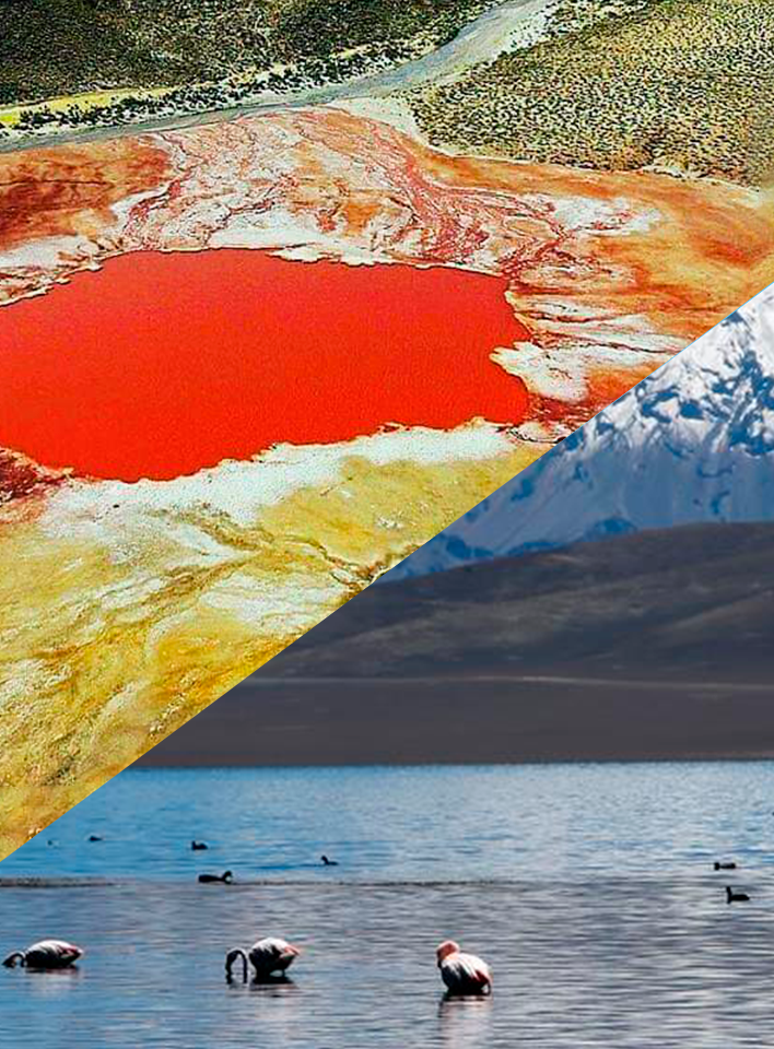 RUTA ALTIPLÁNICA: 3 DÍAS Y 2 NOCHES (Colchane-Camiña)