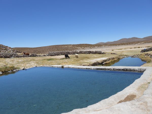 TOUR ALTIPLANO (FULL DAY) - Imagen 6