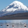 TOUR SALAR DEL HUASCO - Imagen 3