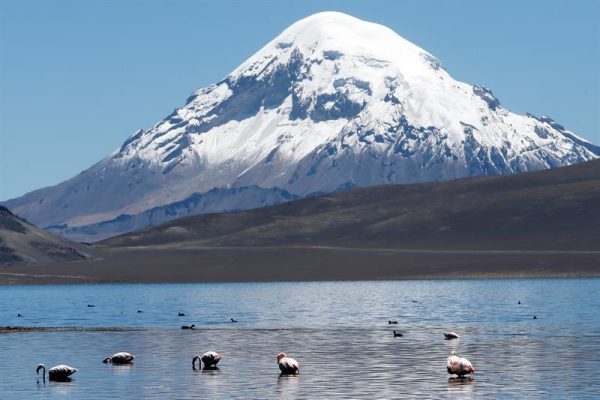 TOUR SALAR DEL HUASCO - Imagen 3